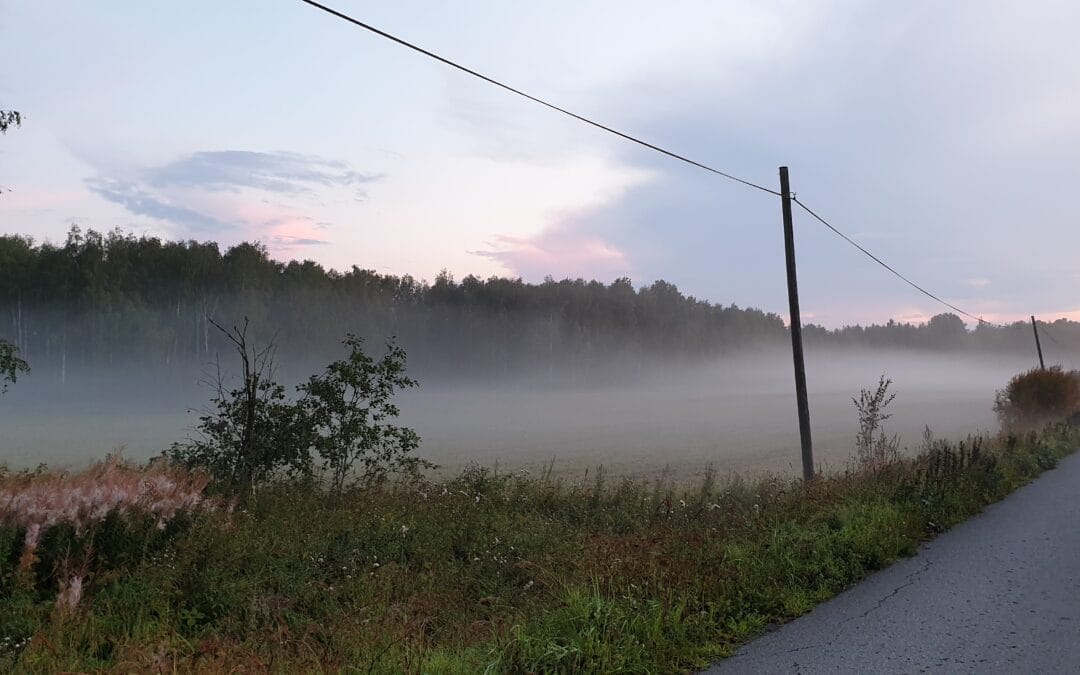 Wihasjärven Syysnäyttely 22.7.-7.9.2025