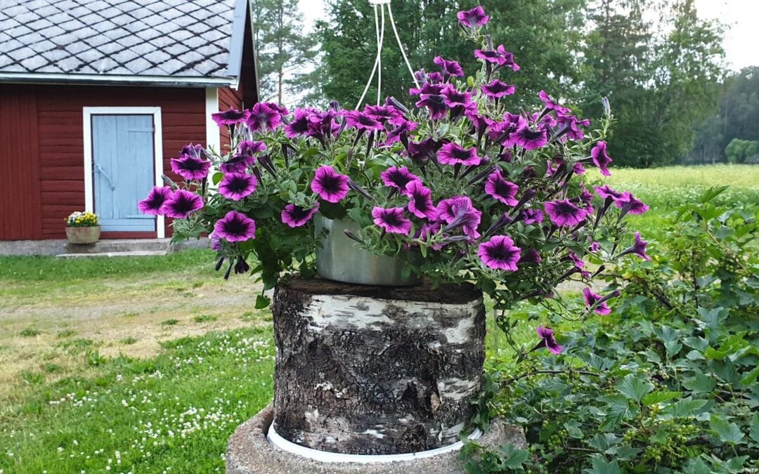 Taiteen Tuulia -näyttelyn avajaiset 26.6.2022