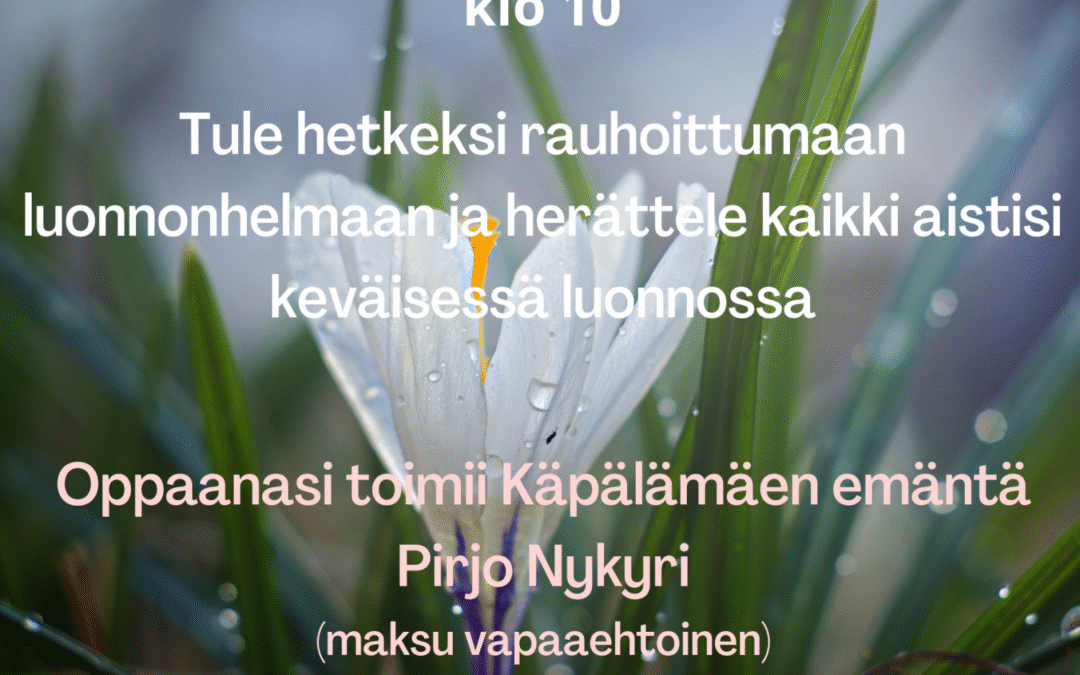 Sunnuntaiaamun luontohetki 15.5.2022