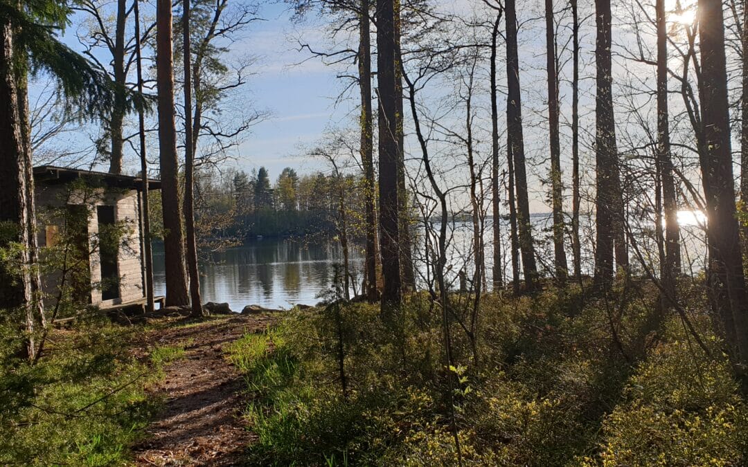 Rantalan lenkki – IVV-reitti, Wihasjärvi 1906
