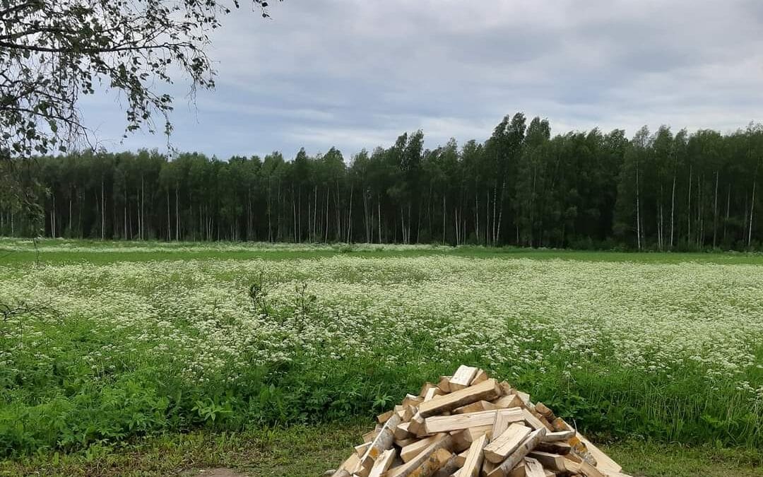 Vihasjärven kansakoulu & Avoimet puutarhat 5.7.2026